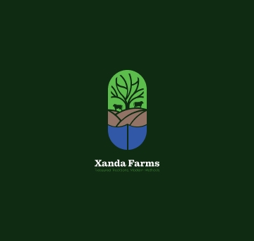 xanda-img-2