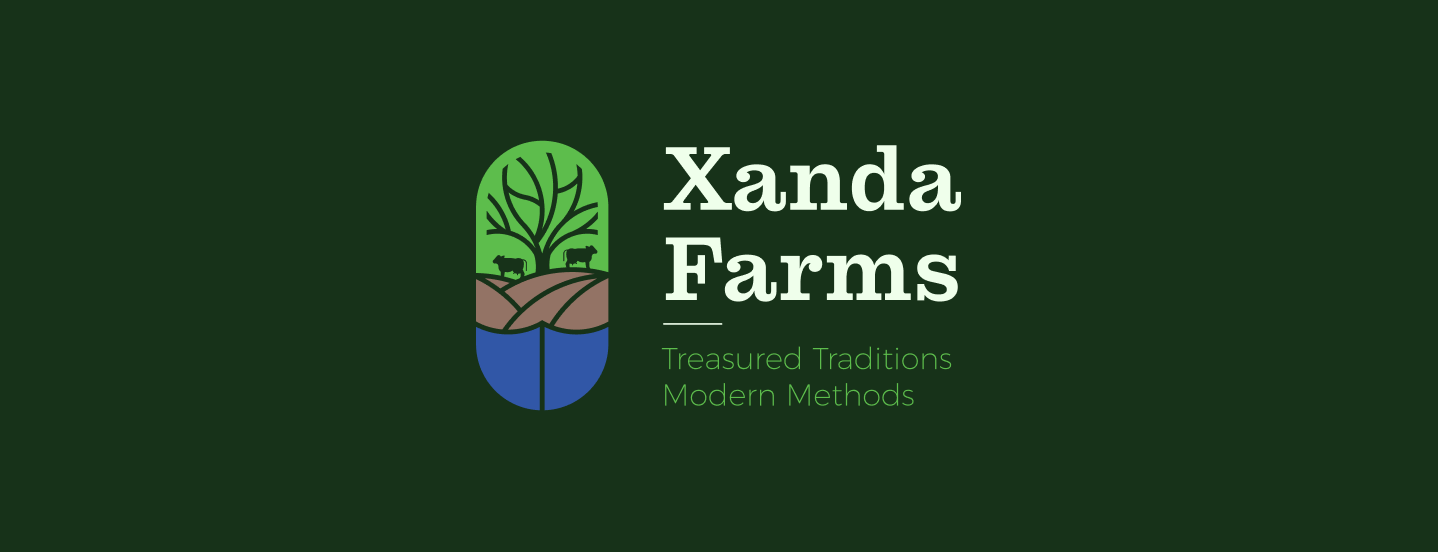 xanda-img-2