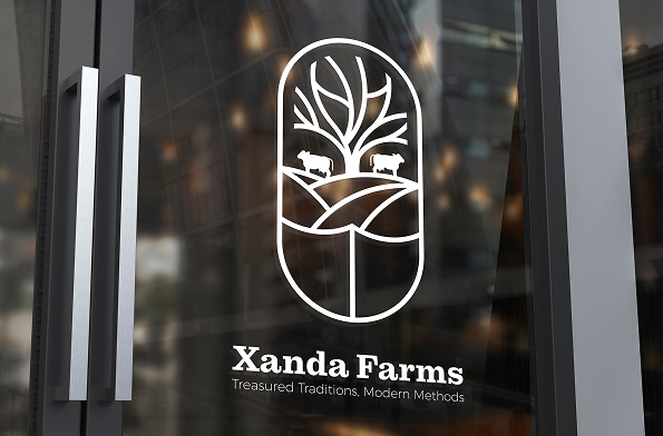 xanda-img-2