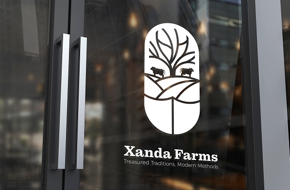 xanda-img-2